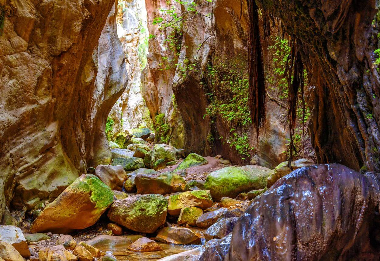 קניון אווקאס